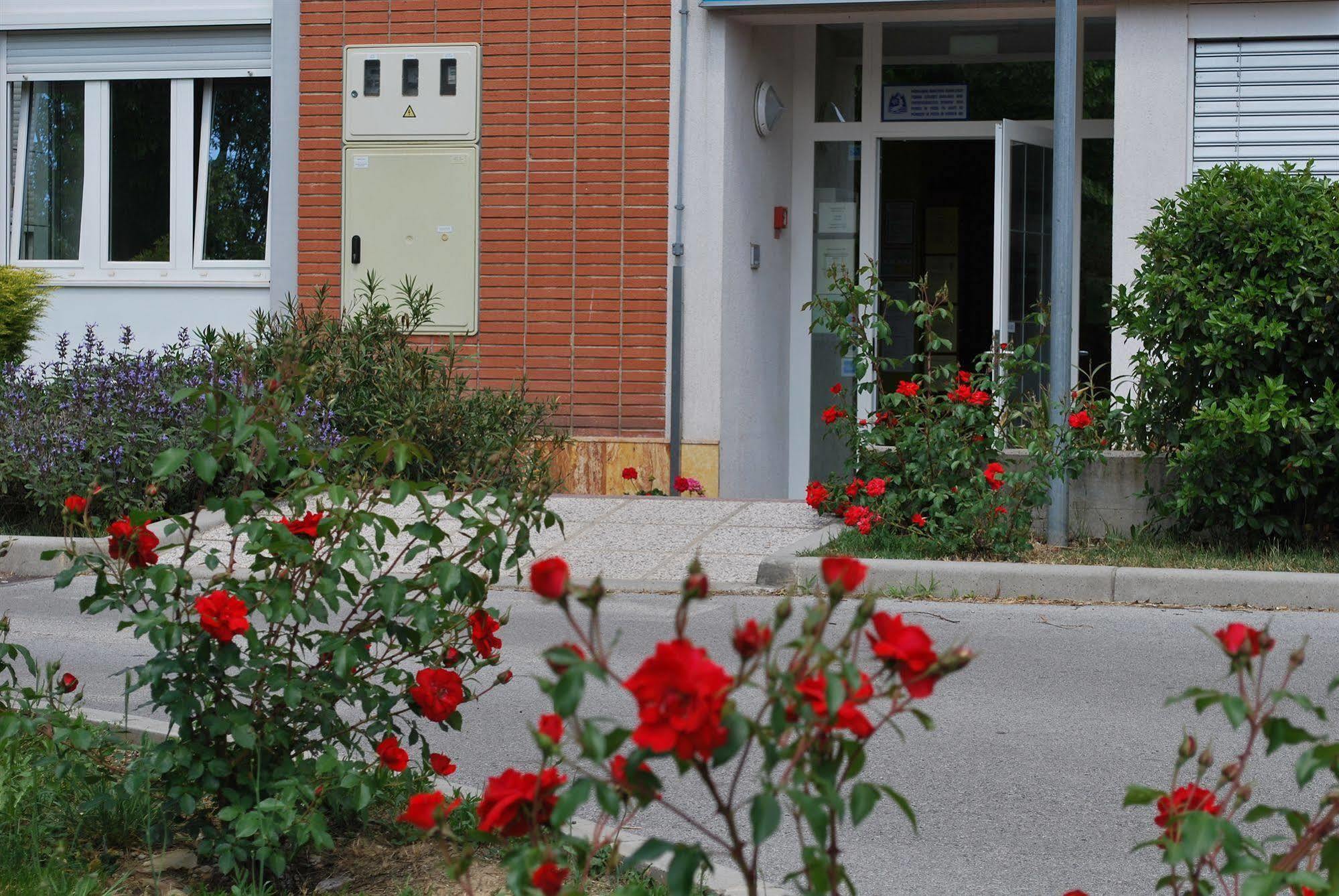 Bed And Breakfast Kogoj โนวาโกริคา ภายนอก รูปภาพ